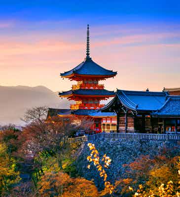 Japan Tours