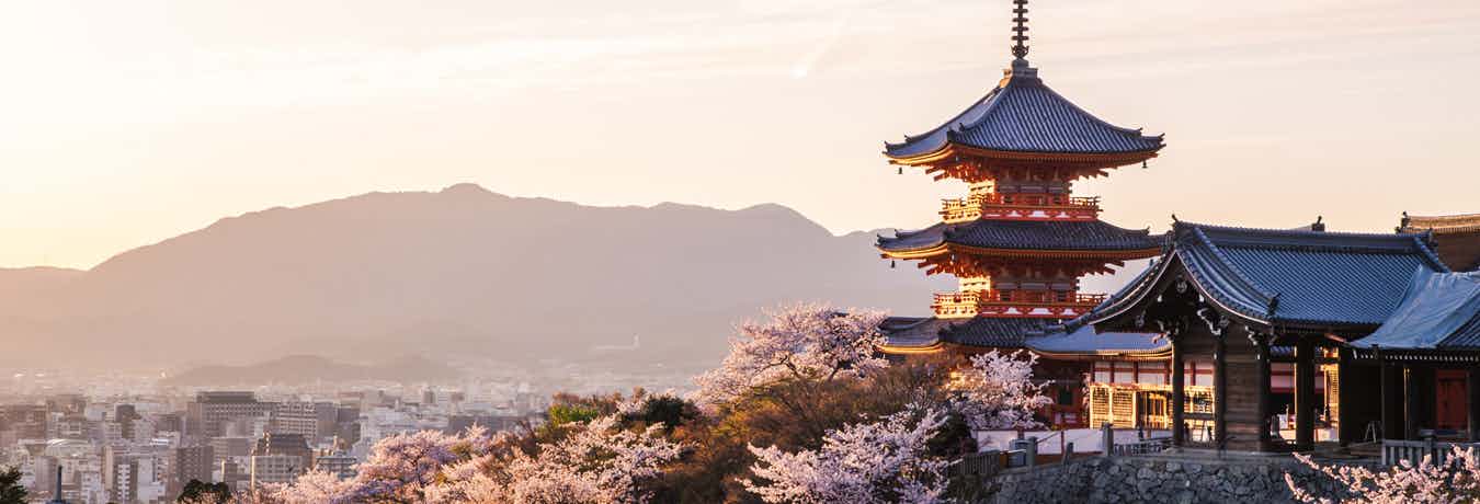 RECOMMENDED TOURS